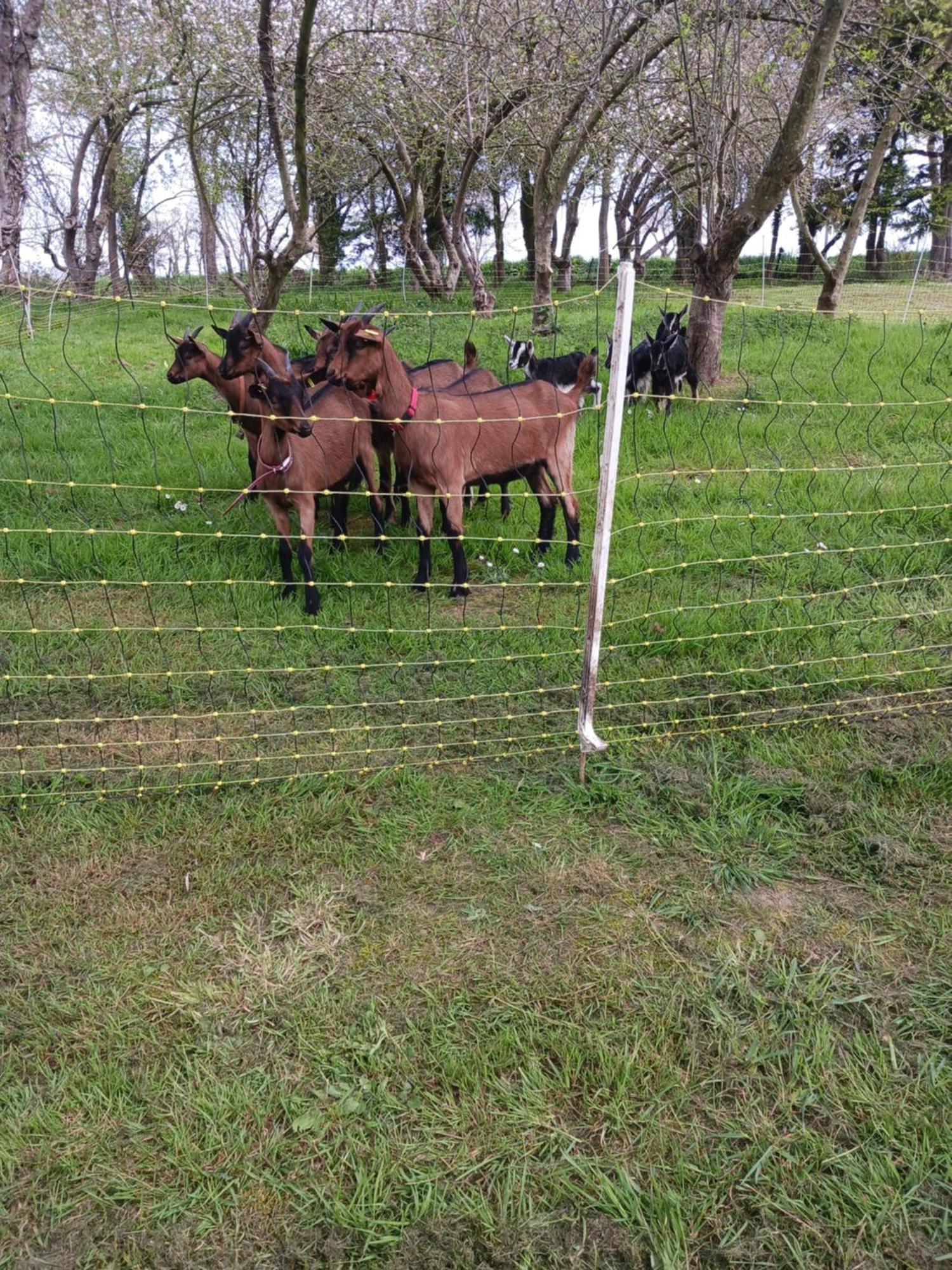 شقة La Ferme Stanczak Tréguier المظهر الخارجي الصورة